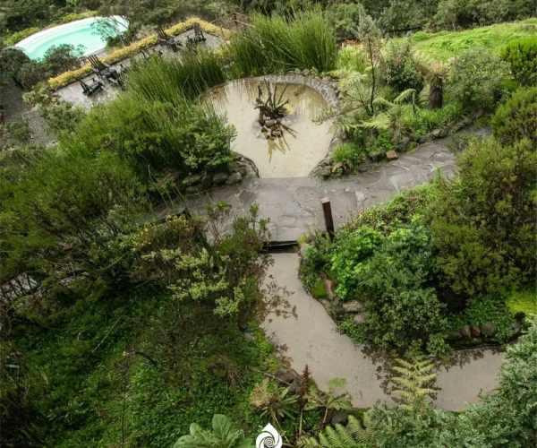 631a0255-b106-49f4-a57b-44fd6799a4bd