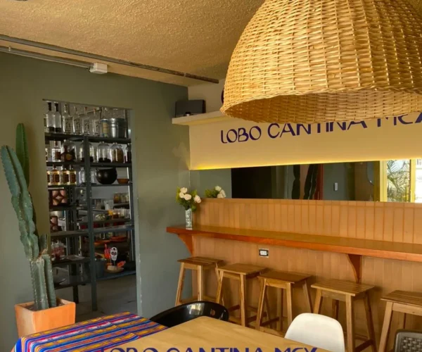 2cba9573-04b4-423b-b9f6-e8596b96842d