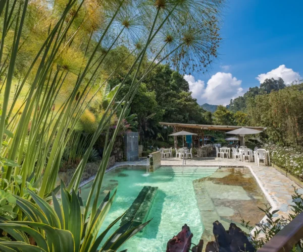 5d224a7f-e4fa-4231-840d-be5019ad114c