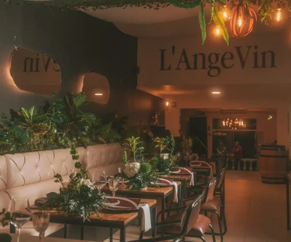 5f6b9f52-22e1-4753-98ea-991099377dde