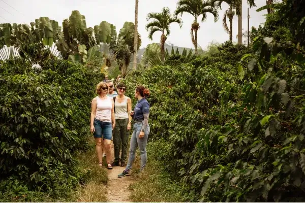 78917844-087b-4e3b-b355-84b1fd1f782e