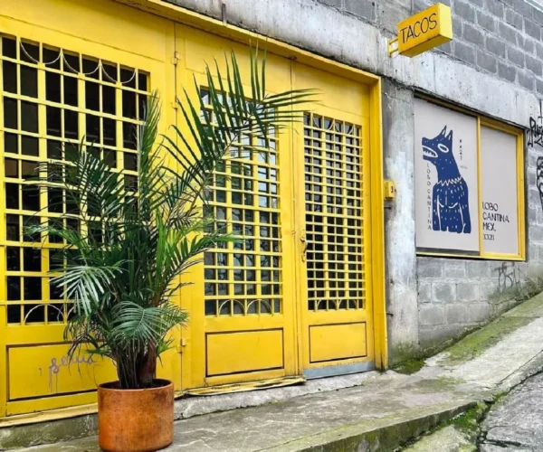 7a011777-de0e-4797-8ef3-29b0c5a370e4