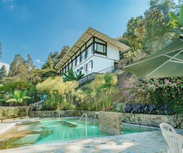 936ef74d-5eac-47e6-b449-ce353257c8c2