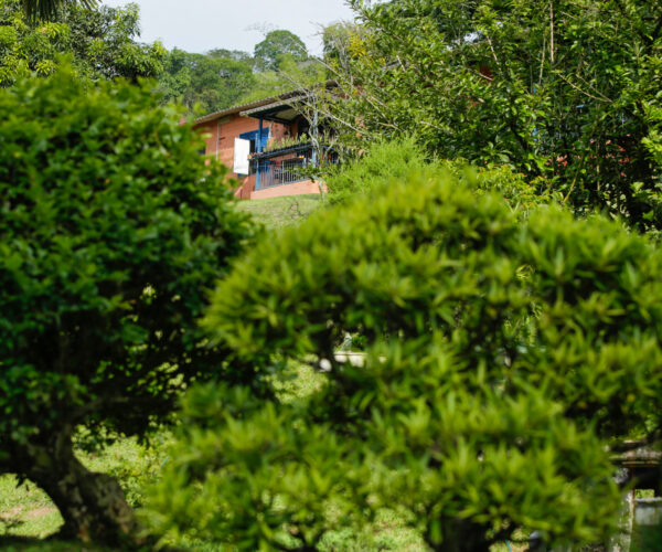 a718051a-caa5-43e4-97cc-e2ae3f5866e6