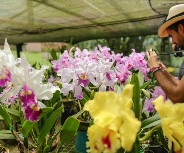 b0b3a4aa-0fd7-4066-aca8-fb8bd28e5c44