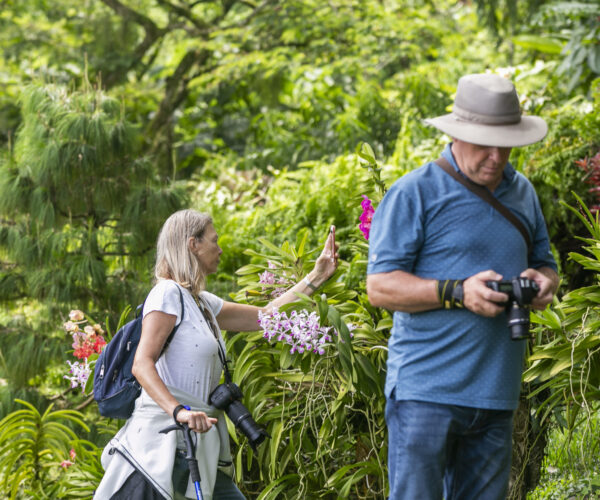 faee3c72-caa7-4e95-8c3e-fd757c4dce1f