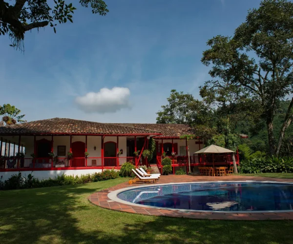 fcb2a8f5-e5b2-4519-b465-2e8f3e405751